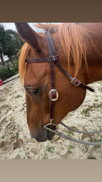 Quick Change stock Bridle