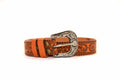dusty butterscotch belt
