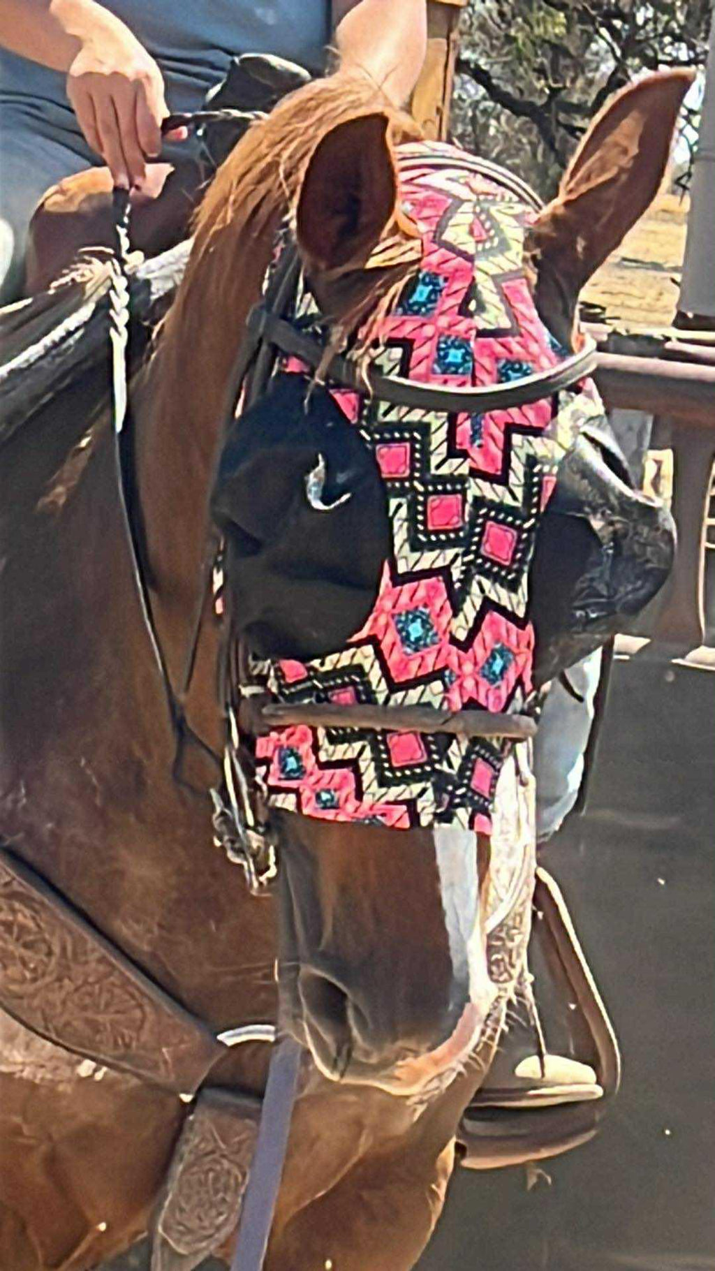 SOFT FACE FLYMASK